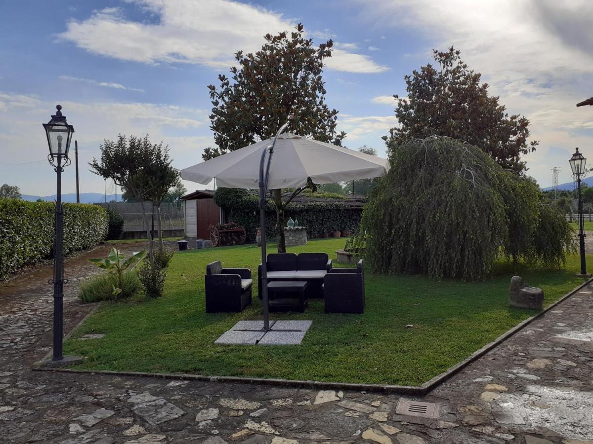 La Fiora Bed and Breakfast Sansepolcro Exteriör bild